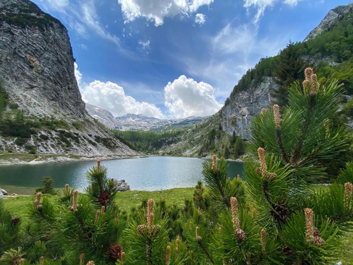 Hostel Soča Rocks Bovec Exteriör bild